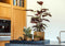 Capi Europe - Bloempot bol Groove Black & Gold - 9x8 - Zwart - Opening Ø7.2 - Bloempot voor binnen - 5 jaar garantie - BGVBL139