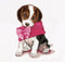 Thea Gouverneur - Borduurpakket met telpatroon - 732A - Voorgesorteerde DMC Garens - Puppy Liefde - Aida - 31 cm x 30 cm - DIY Kit