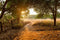 Customize it - Tuinschilderij ochtenddauw 70x50cm