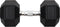 vidaXL - Halters - 22,5 - kg - gietijzer
