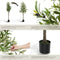 tectake® Kunstmatige Olijfboom Oleand - Kunstplant - Realistische Bladeren en Olijven - Ø40xH180 cm