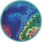 Waboba Flobo Water Frisbee 18Cm