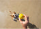 Waboba Pet Fetch Ball
