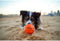 Waboba Tailwind Ball 6.5 Cm