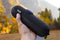 Wacaco Nanopresso L-Case