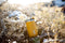 Wacaco Octaroma Lungo - Amber Yellow - Nieuw - Thermosbeker - Thermosfles - Thermoskan - Drinkbeker - Bierpul - Pipamoka serie - Festival - Camping - Cadeau voor hem & haar