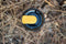 Wacaco Octaroma Lungo - Amber Yellow - Nieuw - Thermosbeker - Thermosfles - Thermoskan - Drinkbeker - Bierpul - Pipamoka serie - Festival - Camping - Cadeau voor hem & haar