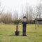 Wagner palm Trachycarpus wagnerianus h 110 cm st. h 45 cm