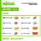 WAGO 887-955 Assortiment verbindingsklemmen Flexibel: 0.14-4 mm² Massief: 0.2-4 mm² 1 set(s)