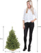 Triumph Tree Forest Frosted - Kunstkerstboom - H90 x Ø62 cm - Groen