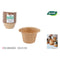 Set met cakevormen Algon Papier 5 x 3,8 cm 50 Onderdelen (36 Stuks)