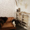 WallArt - 12 - st - Wandpanelen - 3D - GA-WA26 - Olivia