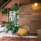 WallArt - Planken - GL-WA28 - 30 - st - hout-look - natuurlijk - eiken - zadelbruin