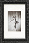 Walther Design Barock - Fotolijst - Fotoformaat 30 x 40 cm - Zwart/Zilver