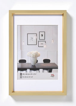 Walther Steel Style - Kunststof lijst - Fotoformaat 20x30 cm - Goud