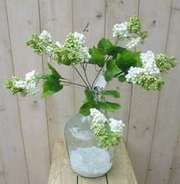 Wand Horma