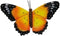Wanddecoratie 3D vlinder geel afm 33,5 x 23 cm