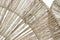 Wanddecoratie DKD Home Decor 115 x 1 x 45 cm Natuurlijk Bruin Tropisch