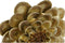 Wanddecoratie DKD Home Decor Bloem Gouden 23 x 6 x 23 cm