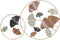 Wanddecoratie DKD Home Decor Gouden Metaal Terra cotta Blad van een plant (103,5 x 7 x 67 cm)