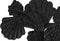 Wanddecoratie DKD Home Decor Metaal Multicolour Schelpen (119 x 9 x 60 cm)