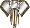 Wanddecoratie DKD Home Decor Spiegel Olifant Gouden Hars (41 x 11 x 38 cm)