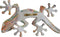 Wanddecoratie Home ESPRIT Multicolour Hagedis Mediterrane 13 x 5 x 29 cm (2 Stuks)