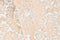 Wanddecoratie Home ESPRIT Wit Natuurlijk Verouderde afwerking 97,5 x 3 x 52,5 cm