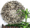 Wanddecoratie Veren Bruin Grijs ( L ) - Diam. 60 cm