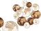 Wanddecoratie Wit Bruin Mangohout Wereldkaart 76 x 70 x 5 cm