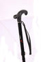 Wandelstok Nordic Walking C01 rubber tip alloy
