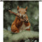 Wandkleed eekhoorn 120 x 160 cm polyester Velvetly / Complete set ( doek & ophangsysteem ) / Boven en onderkant tunnel
