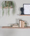 Wandplank Pure Acaciahout 100 cm
