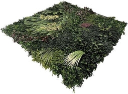 Wandplant l1b1m forest-mix8 per m2