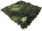 Wandplant l1b1m forest-mix8 per m2