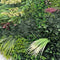 Wandplant l1b1m forest-mix8 per m2