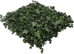Wandplant l1b1m hydranchea mix3 m2