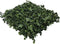 Wandplant l1b1m hydranchea mix3 m2