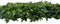 Wandplant l1b1m hydranchea mix3 m2