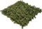 Wandplant l1b1m moss-mix2 per m2