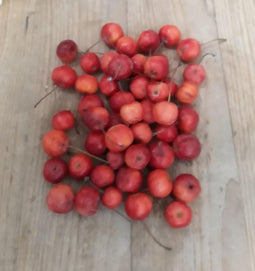Warentuin Natuurlijk Sierappeltjes - 1 Schep