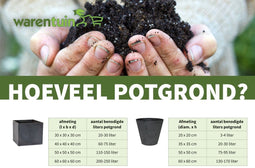 Warentuin natuurlijk - Stamroos 100 cm geel