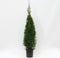 Warentuin Natuurlijk - Thuja occidentalis smaragd 125-150 cm