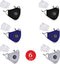Washable Cotton Mask w/ 2 Activated Carbon Filters