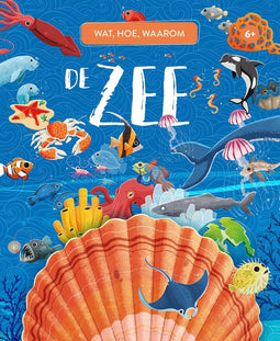 Wat, hoe, waarom - De Zee