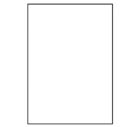 Waterbestendige polyester A4 etiketten 210x297 mm (100 vel)