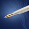 Waterman Expert-balpen | Roestvrij staal met 23-karaats gouden afwerking | Medium punt | Blauwe inkt | met geschenkdoos