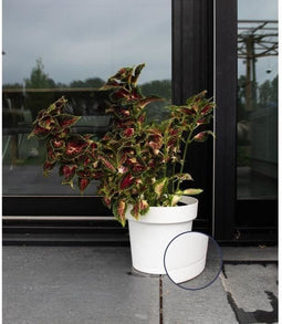 Waterreservepot - GARDEN ID Glamour - Wit 40 cm - Korrelig oppervlak - Binnen/buiten - Strak design.