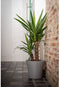 Waterreservepot - GARDEN ID - Green Care Sense Zwart-Antraciet 40 cm - 10 jaar garantie - 100% gerecycled