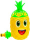 Watersproeier Ananas Assorti